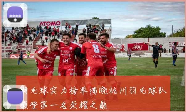 羽毛球实力榜单揭晓杭州羽毛球队荣登第一名荣耀之巅