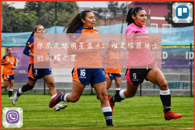 印尼足球明星盘点：谁是绿茵场上的闪耀之星